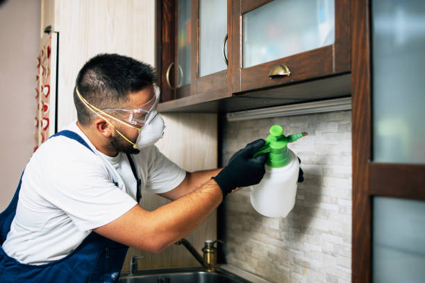 Best Mosquito Control Services  in Spencer, TN