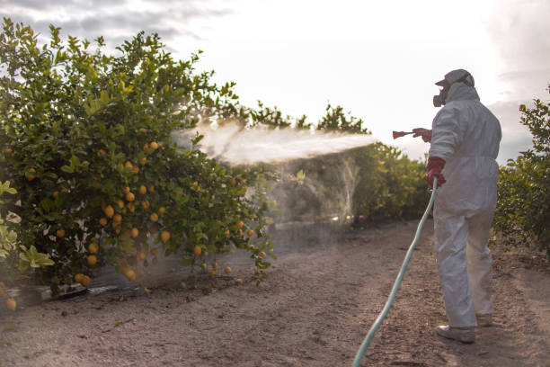 Best Affordable Pest Control Services  in Spencer, TN