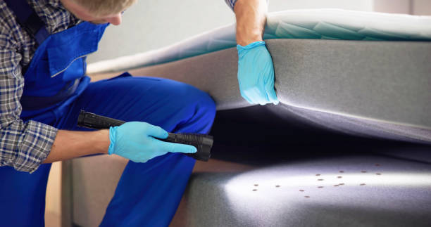 Best Ant Control Services  in Spencer, TN