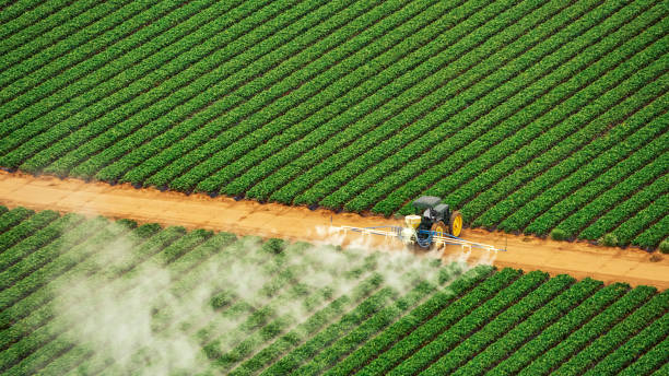 Best Pest Removal Services  in Spencer, TN