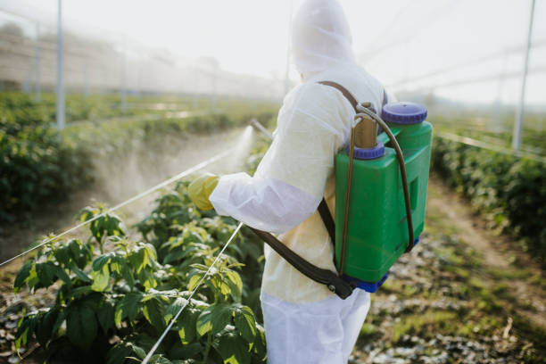 Best Pest Inspection Near Me  in Spencer, TN